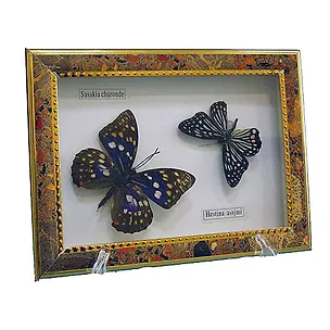 Панно Бабочки, 15х20см (101043) 2393948