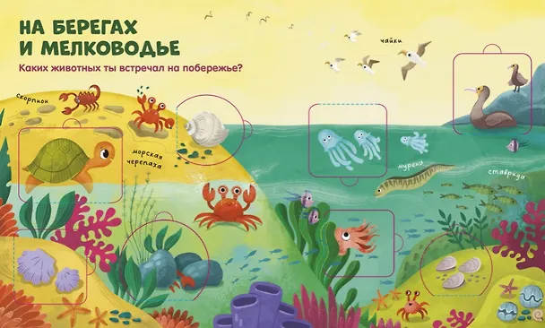 Книга Океаны и моря. Книжка с окошками () — 3