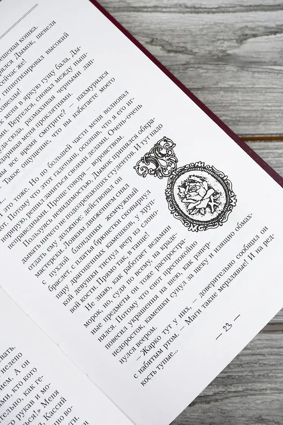 Книга Снежная вакансия (Софья Дашкевич) — 11