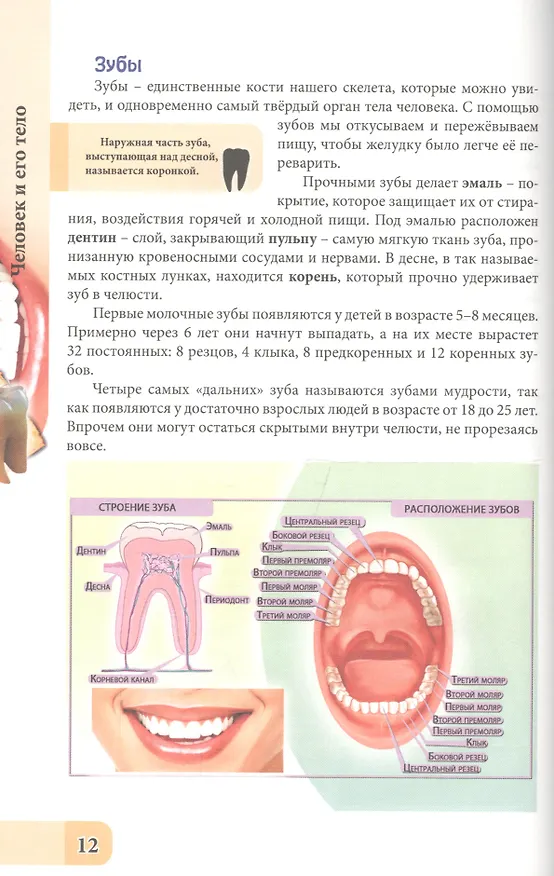 Книга ЭНЦИКЛОПЕДИЯ. В МИРЕ ЗНАНИЙ. ЧЕЛОВЕК И ЕГО ТЕЛО (Оксана Балуева) — 4