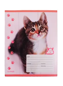 Тетрадь в клетку Unnika, "Пушистые котята", 18 листов, в ассортименте