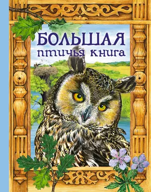 Большая птичья книга : сказки — 2297339 — 1