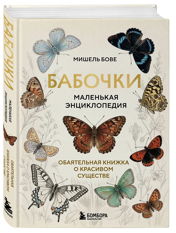 Книга Бабочки! Маленькая энциклопедия. Обаятельная книжка о красивом существе (Мишель Бове) — 4