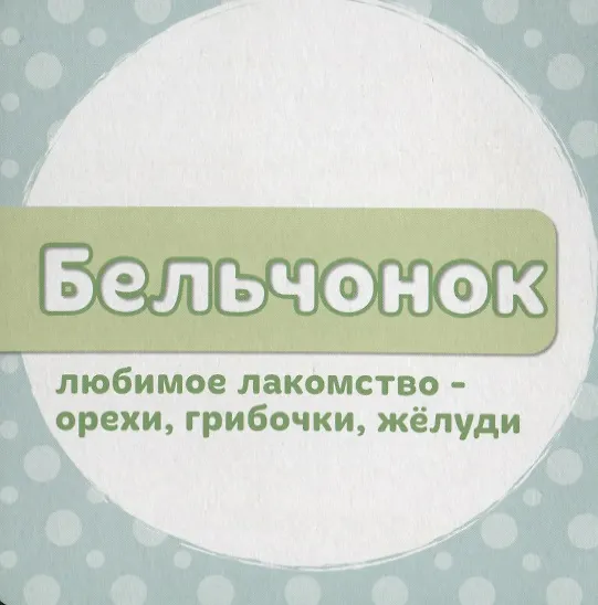 Книга ЦК 145х145. МОИ ЛЕСНЫЕ ДРУЗЬЯ (Е. Ковалева) — 2