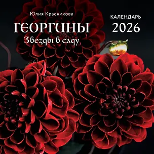 Георгины. Звезды в саду. Календарь настенный на 2026 год (300х300 мм) 3120690