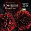 Георгины. Звезды в саду. Календарь настенный на 2026 год (300х300 мм) — 3120690 — 1