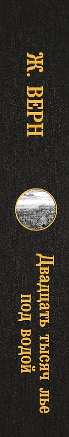 Книга Двадцать тысяч лье под водой (Жюль Габриэль Верн) — 3