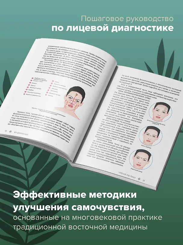 Книга Чтение по лицу. Древняя китайская методика распознавания сигналов тела (Джианше Ву) — 6