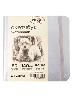 Скетчбук 120*120 80л "Гамма. Студия" серебро, 140г/м2, слоновая кость, тв.обложка, резинка 3107232