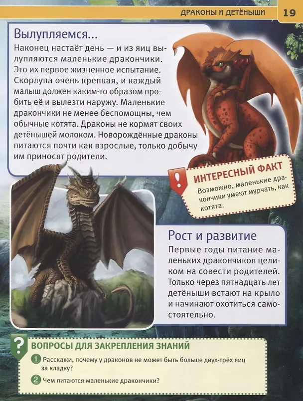 Книга Драконы. Энциклопедия с развивающими заданиями (Наталья Ерофеева) — 5