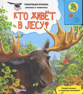Кто живет в лесу?