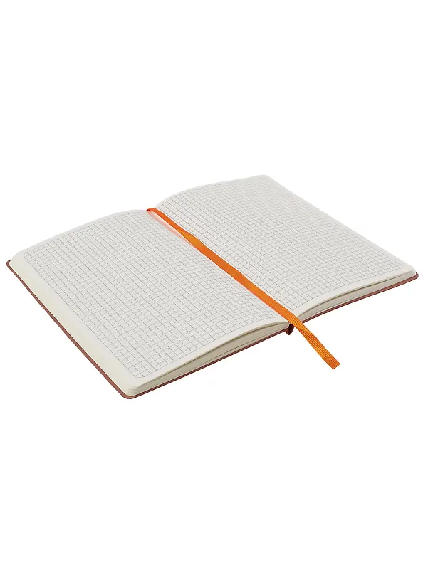 Книга для записей А5, 100 листов в клетку, оранжевая, Schiller 3031820 — 14