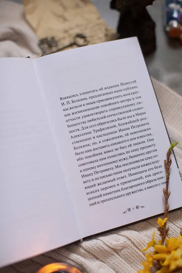 Книга Повести Белкина. Вечные истории. Young Adult (Александр Пушкин) — 12