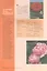 Садовые розы. Посадка. Обрезка. Подкормка. 169 лучших сортов. Иллюстрированное руководство — 2619653 — 2