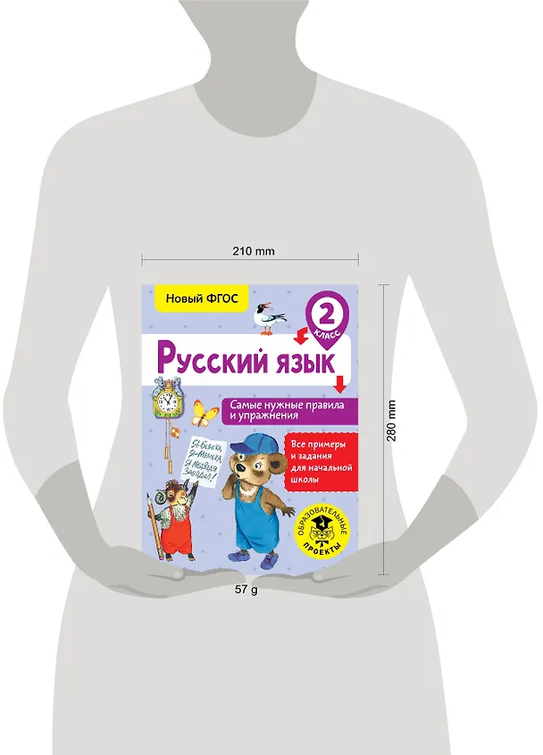 Книга Русский язык. Самые нужные правила и упражнения. 2 класс (Наталия Шевелёва) — 3