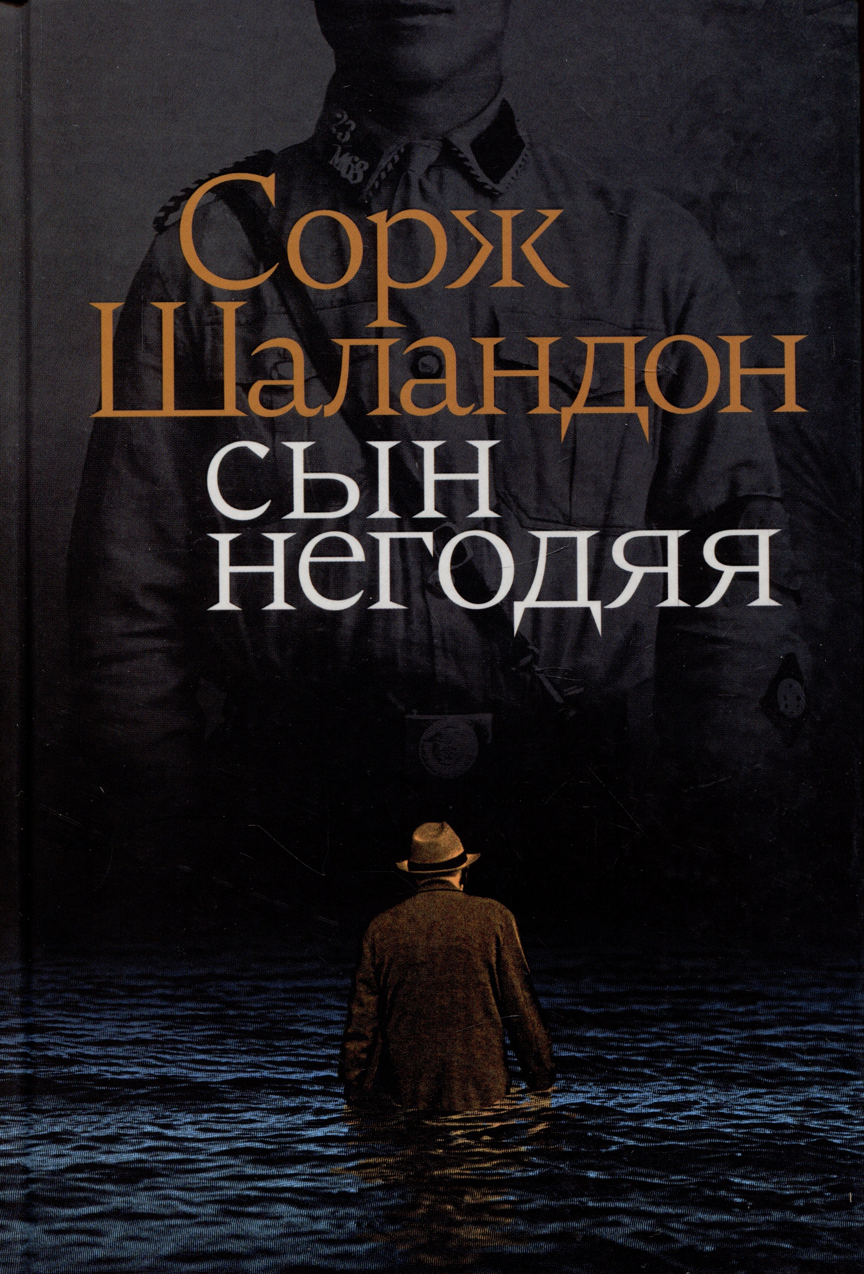 

Сын негодяя