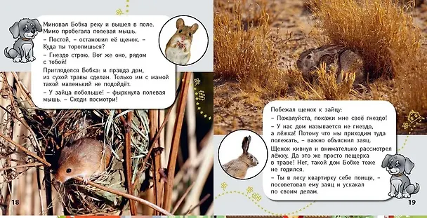 Книга Комплект "Окошко в мир" (комплект из 5 книг) (Э. Наставник) — 4