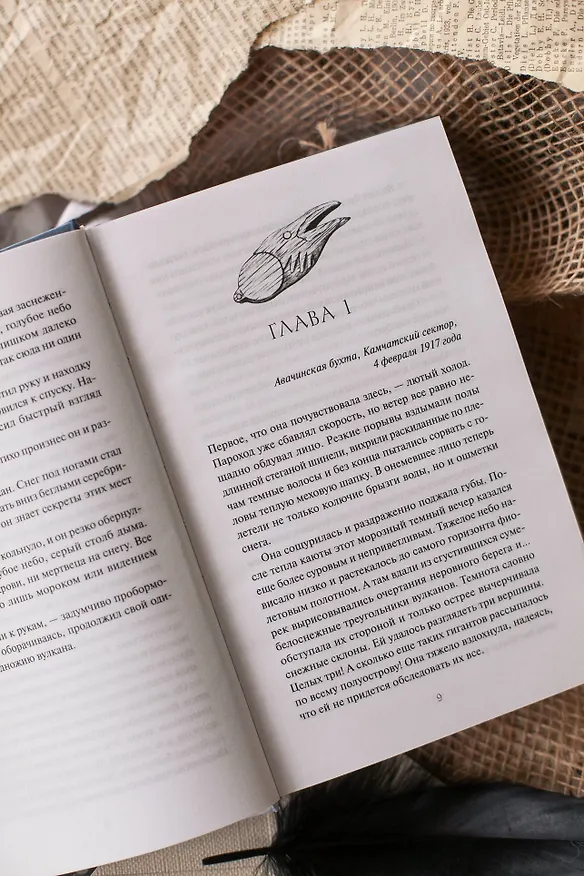 Книга Дело теневого сыска (Екатерина Андреева) — 13