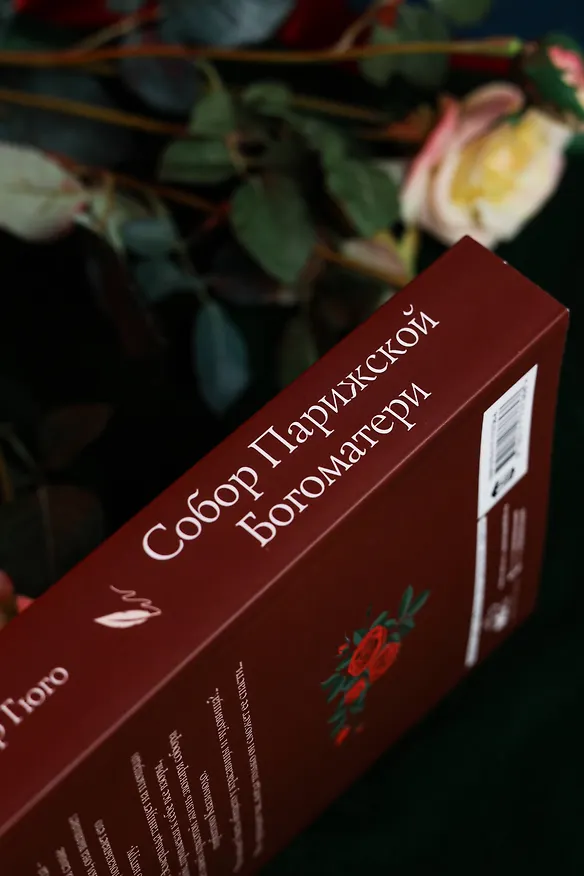 Книга Собор Парижской Богоматери (Виктор Мари Гюго) — 10