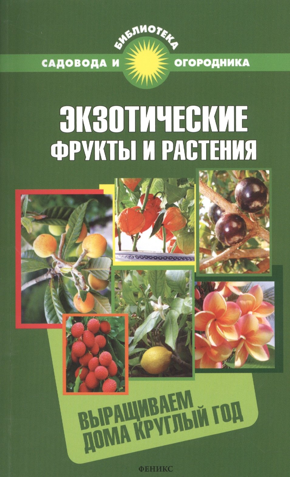 

Экзотические фрукты и растения: выращиваем дома круглый год
