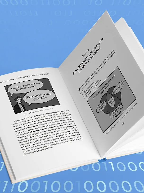 Книга Аналитика для руководителей. Стратегия и развитие бизнеса на базе данных, а не на интуиции (Николай Валиотти) — 11