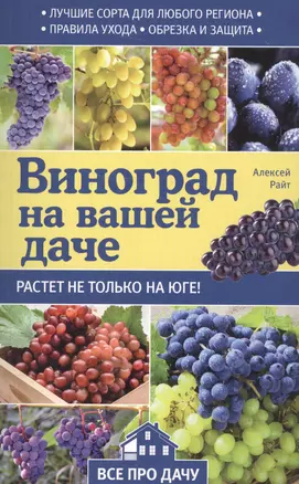 Виноград на вашей даче. Растет не только на юге! — 2577446 — 1