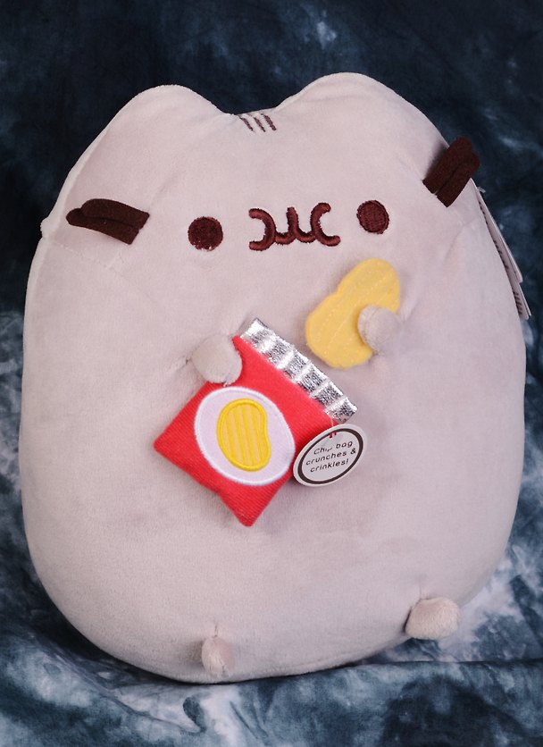 Котик Pusheen с чипсами (4058948) 2584201 — 1