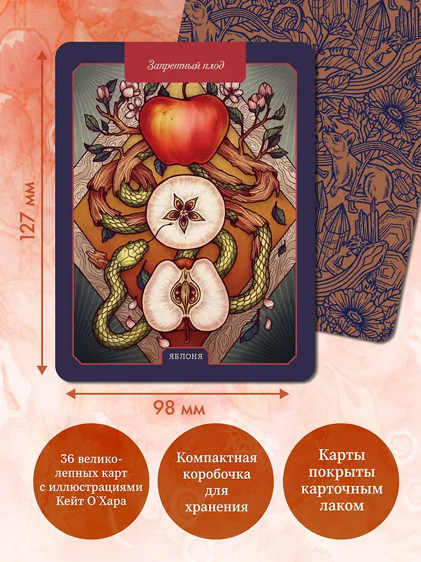 Книга Магический гербарий. 36 карт с посланиями от волшебных растений (Оракул. 36 карт и руководство в коробке) (М. Толл) — 8