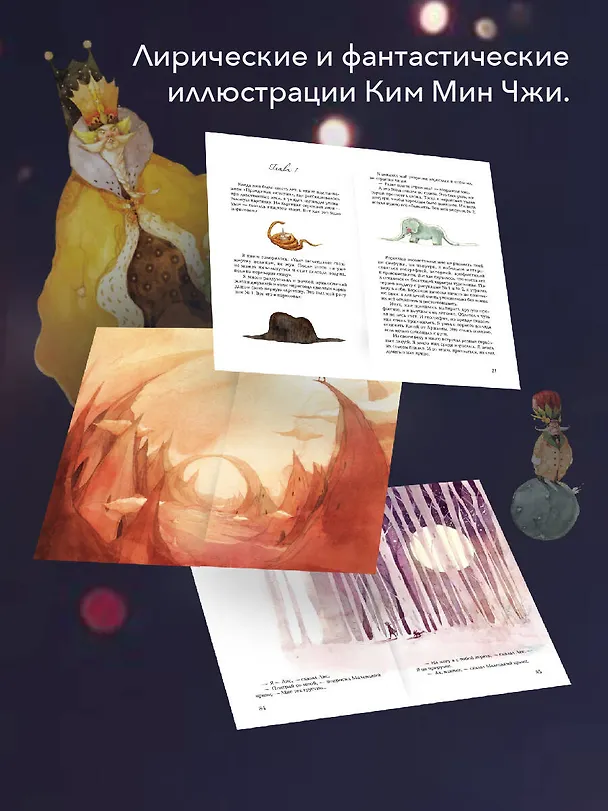 Книга Маленький принц (Антуан де Сент-Экзюпери) — 7