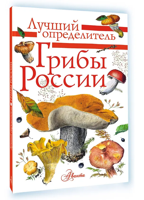 Книга Грибы России. Определитель (Станислав Кривошеев) — 4