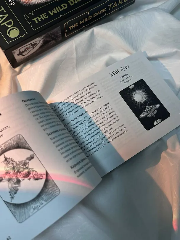 Книга The Wild Dark Tarot / Дикое Темное Таро (Кэтти Флёр) — 13