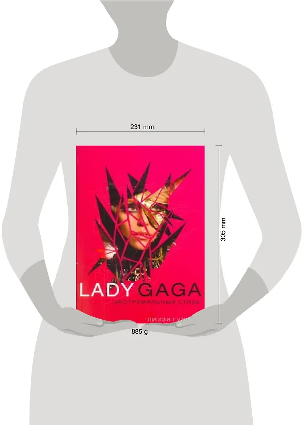Книга Lаdy Gaga.Экстремальный стиль (Лиззи Гудман) — 2