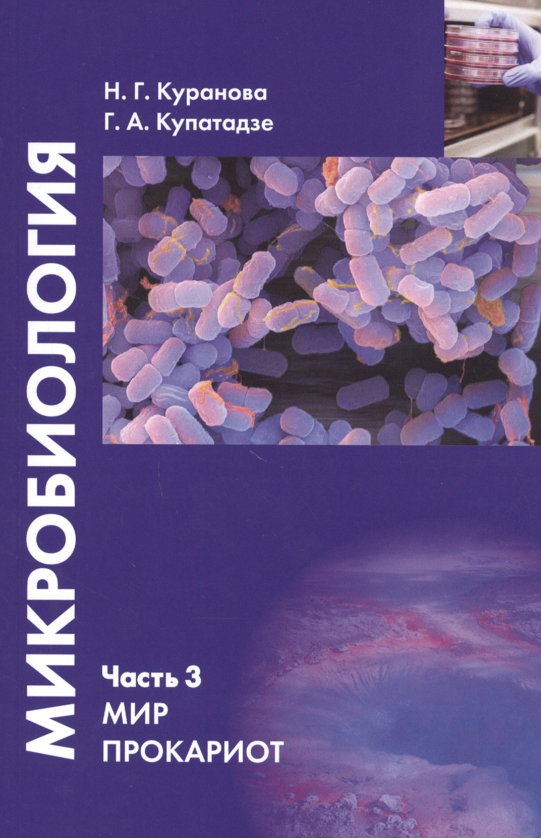 Микробиология. Часть 3. Мир прокариот : Учебное пособие