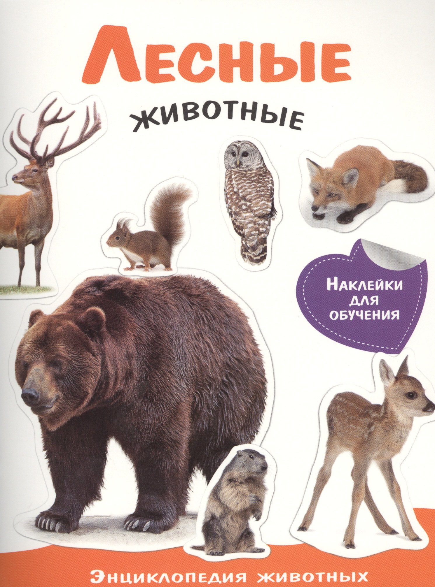 

Энциклопедия животных с накл. Лесные животные