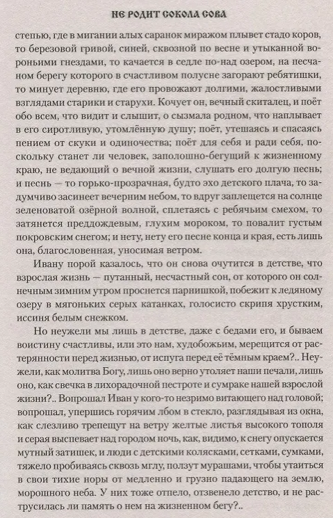 Книга Не родит сокола сова (Анатолий Байбородин) — 4