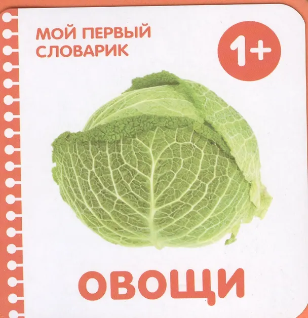 Книга Овощи () — 1