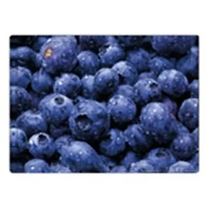 Обложка на студенческий Ягоды (00000001647)