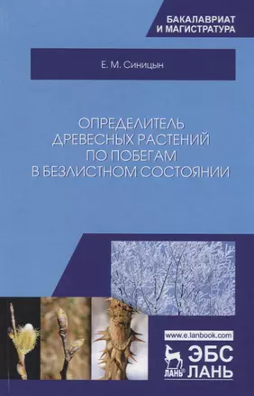 Определитель древесных растений по побегам в безлистном состоянии. Учебное пособие — 2736922 — 1