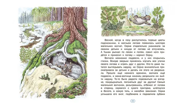 Книга История одного волчонка. Рассказ (Валентин Пажетнов) — 5