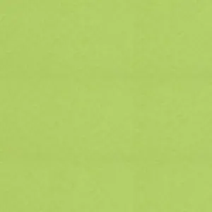 Бумага для пастели 50*65 "Tiziano" 160г/м2 №43 фисташковый, Fabriano