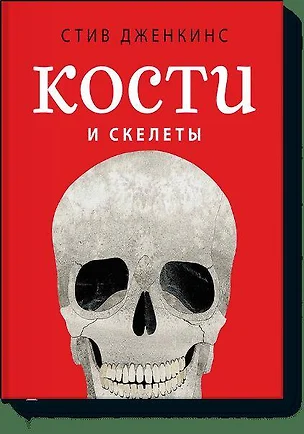 Кости и скелеты — 2454958 — 1