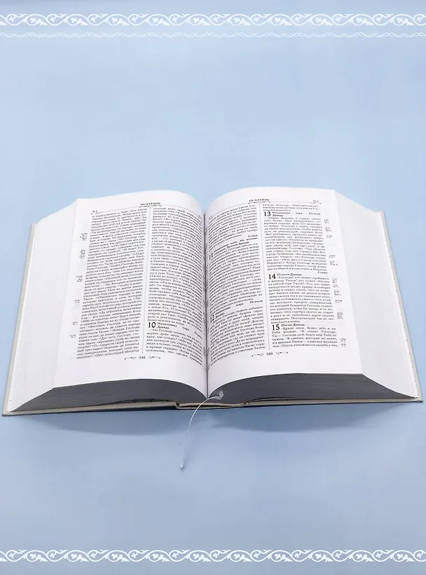 Книга Библия. Книги Священного Писания Ветхого и Нового Завета. РПЦ. Полное издание с неканоническими книгами. Белая. () — 10