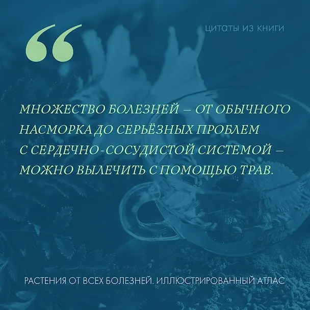 Книга Растения от всех болезней. Иллюстрированный атлас () — 7