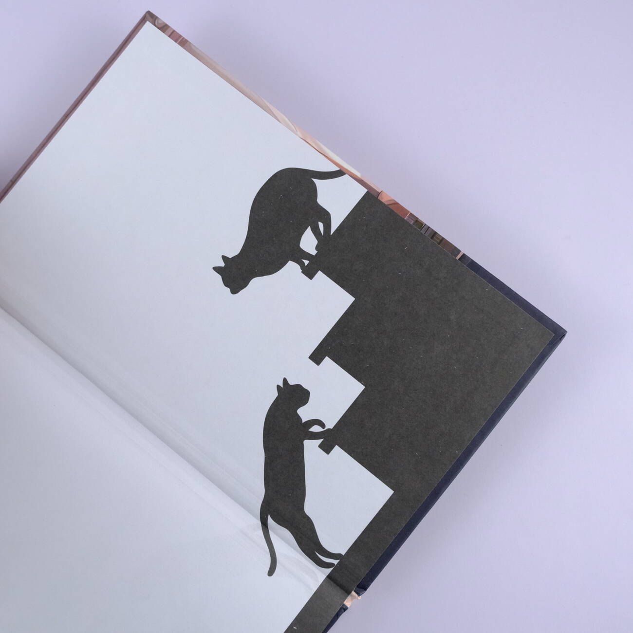 Изображение бумажной книги