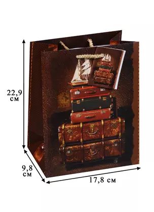 Пакет подарочный бумажный А5 "Чемоданное настроение" — 245905 — 1