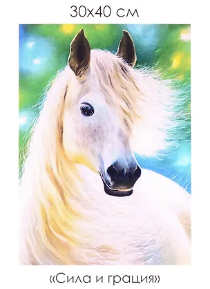 Набор для творчества. Алмазные узоры "Сила и грация", 30 х 40 см 2951174