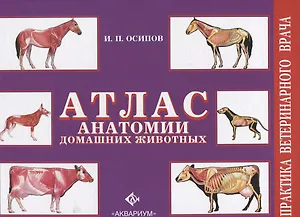 Атлас анатомии домашних животных