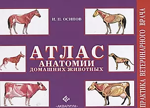 Атлас анатомии домашних животных — 2727020 — 1