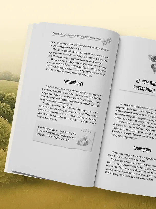 Книга Обрезка и формировка деревьев и кустарников (Николай Курдюмов) — 13