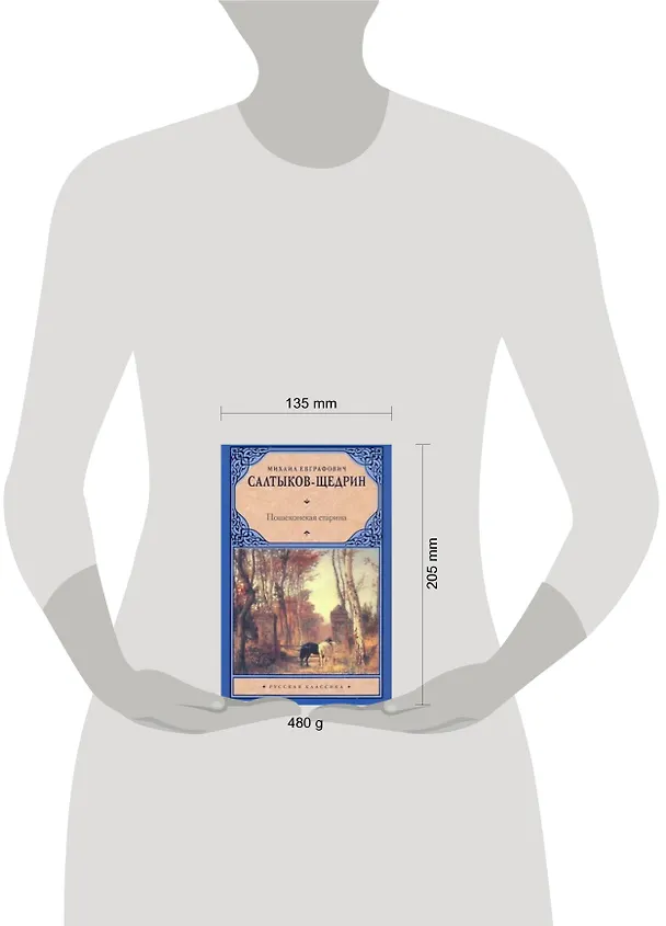 Книга Пошехонская старина (Михаил Салтыков-Щедрин) — 2